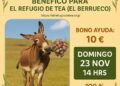 Comedor Popular Vegano en Apoyo a El Refugio de Tea