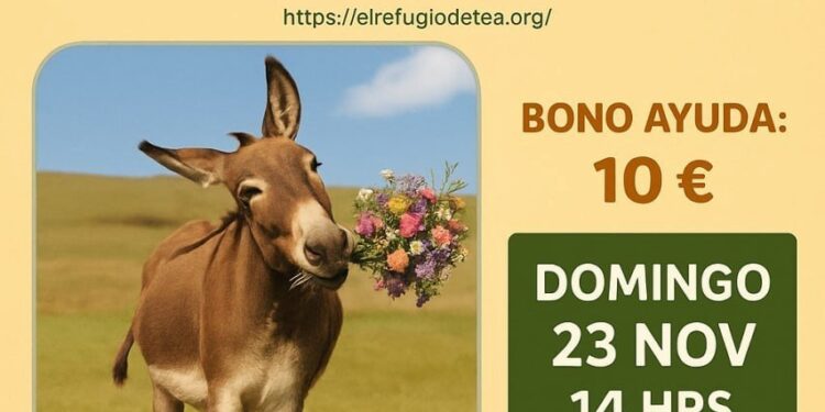 Comedor Popular Vegano en Apoyo a El Refugio de Tea