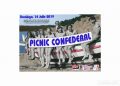 Picnic confederal 2019