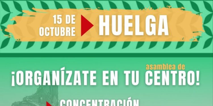 ¡Menos Lectivas apoya a la jornada de lucha por Palestina el 15 de octubre!